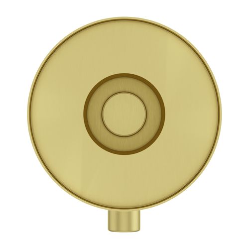 Main product image of Contempra Diverter Trim , 016-NC1BG (Brushed Gold)