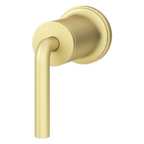 Main product image of Tenet Diverter Trim (Brushed Gold), 016-TNT1BG