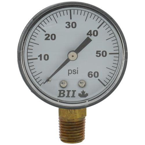 Main product image of 2" Lower Mount Pressure Gauge, ABS Brass Dry (0-60 psi)