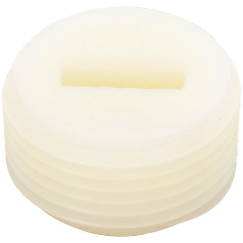 Main product image of Threaded Plug 3/4, PLU01169