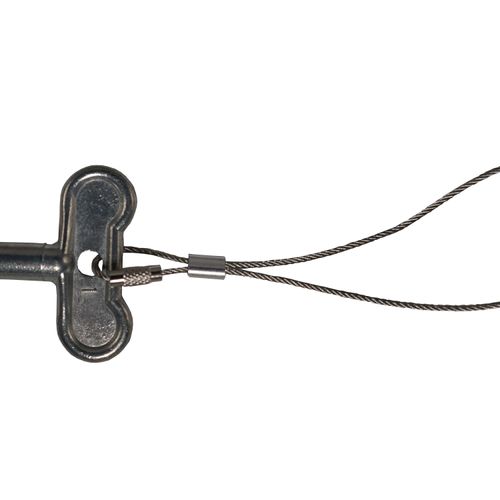 Main product image of D-Oval Key on Lanyard for C-108/234/235-8/244/534/634, C-108KT-808