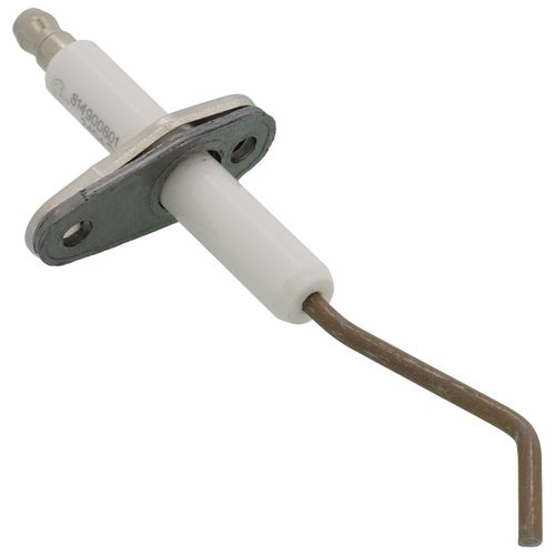 Main product image of Flame Sensor w/Gasket, R2069200