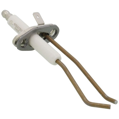 Main product image of Ignitor w/Gasket, R2069300