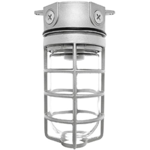 Main product image of 150W LED Industrial Area Fixture, Dark Bronze Finish, Stainless Steel Housing, VX100DG