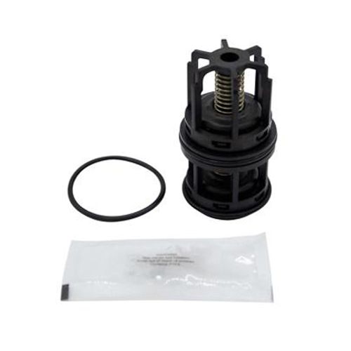 Main product image of 1" Standard Repair Kit for 950XL3, Complete Check Assembly, O-Ring and Cover 