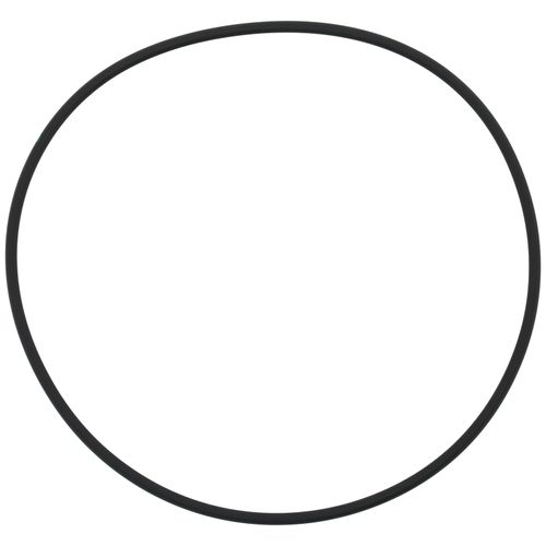 Main product image of Sz 256 Neoprene O-Ring, RNG00070