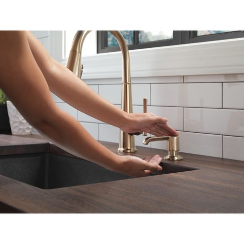 Emmeline Soap Dispenser (Lumicoat Champagne Bronze)