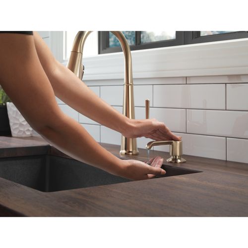 Emmeline Soap Dispenser (Lumicoat Champagne Bronze)