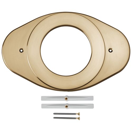 Shower Renovation Cover Plate (Champagne Bronze)