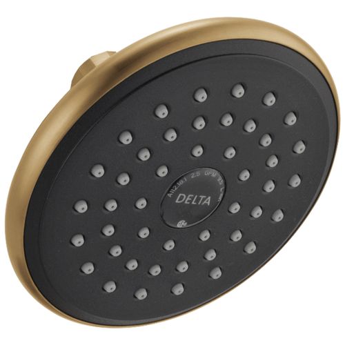 Main product image of 1-Setting Raincan Round Shower Head, RP51305CZ (Champagne Bronze)
