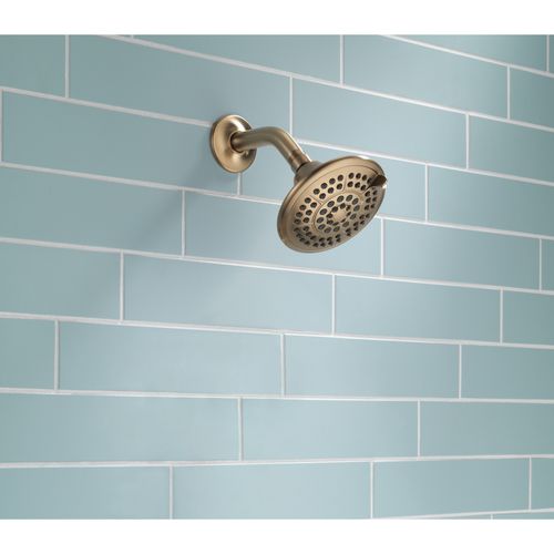 Main product image of 5-Setting Raincan Shower Head (Champagne Bronze), RP78575CZ
