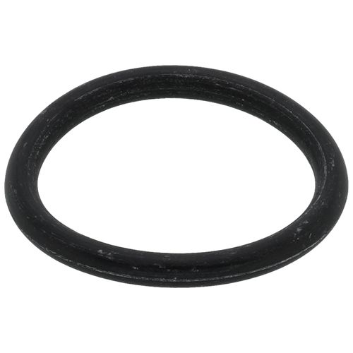 Main product image of O-Ring (p20), RTG20299AG
