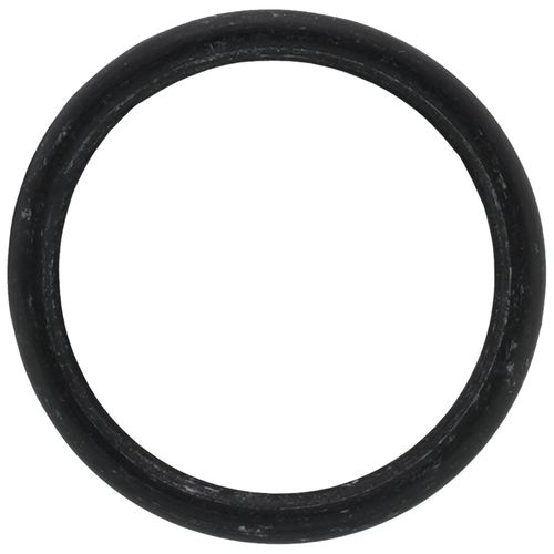 Main product image of O-Ring (p20), RTG20299AG