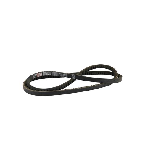 Main product image of Belt Drive Bx64 Pl=67, S1-02815948000