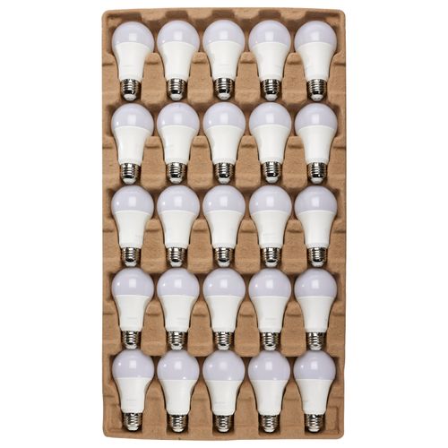Main product image of 14 Watt A19 LED Bulb - Frost Finish - Medium Base - 1520 Lumens - Cool White - 120 Volt (100 Pack)