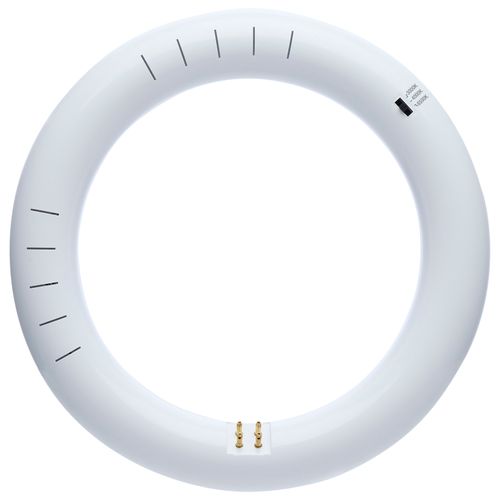 Main product image of LED Circline - 11 Watt T9 Bulb - 3000K/4000K/6500K CCT Selectable - G10q Base - 120-277 Volt (2 Pack)