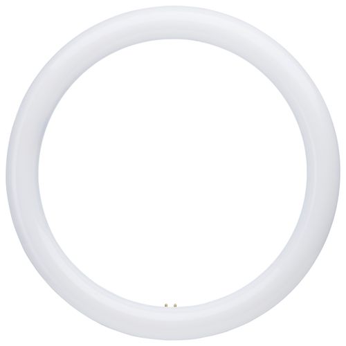 Main product image of LED Circline - 16 Watt T9 Bulb - 3000K/4000K/6500K CCT Selectable - G10q Base - 120-277 Volt (2 Pack)
