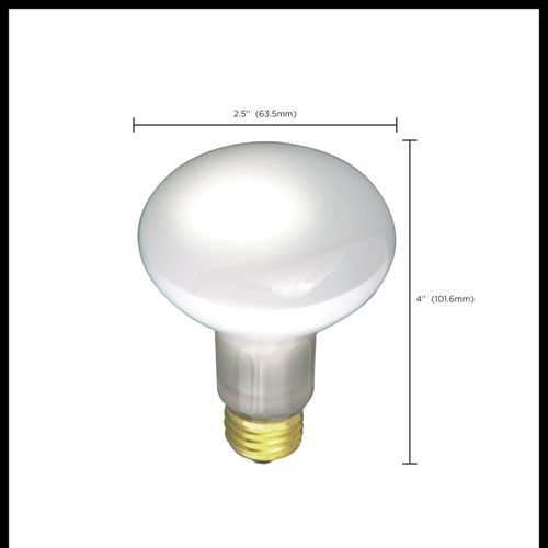 Main product image of 30 Watt R20 Incandescent Bulb - Frost - 2000 Average rated hours - 185 Lumens - Medium base - 130 Volt (20 Pack)