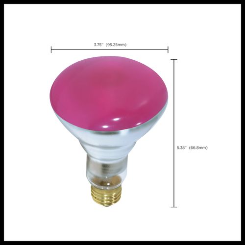 Main product image of 75 Watt BR30 Incandescent Bulb - Pink - 2000 Average rated hours - Medium base - 130 Volt (10 Pack)