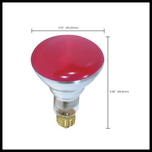 Main product image of 75 Watt BR30 Incandescent Bulb - Red - 2000 Average rated hours - Medium base - 130 Volt (8 Pack)