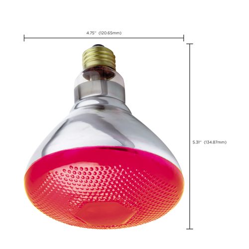 Main product image of 100 Watt BR38 Incandescent Bulb - Red - 2000 Average rated hours - Medium base - 120 Volt (6 Pack)