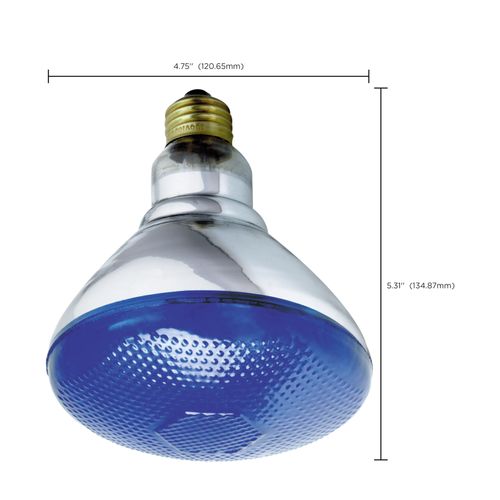 Main product image of 100 Watt BR38 Incandescent Bulb - Blue - 2000 Average rated hours - Medium base - 120 Volt (6 Pack)