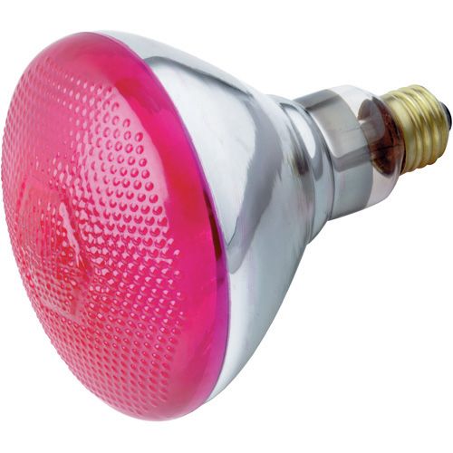 Main product image of 100 Watt BR38 Incandescent Bulb - Pink - 2000 Average rated hours - Medium base - 120 Volt (6 Pack)
