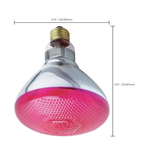 Main product image of 100 Watt BR38 Incandescent Bulb - Pink - 2000 Average rated hours - Medium base - 120 Volt (6 Pack)