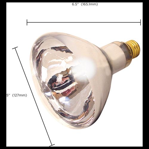 Main product image of 125 Watt R40 Incandescent Bulb - Clear Heat - 6000 Average rated hours - Medium base - 120 Volt (10 Pack)