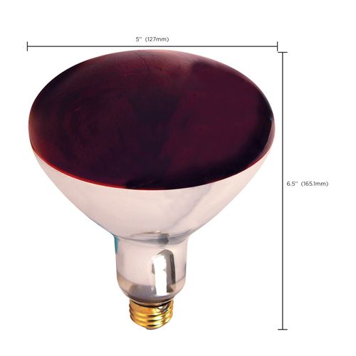 Main product image of 250 Watt R40 Incandescent Bulb - Red Heat - 6000 Average rated hours - Medium base - 120 Volt (12 Pack)