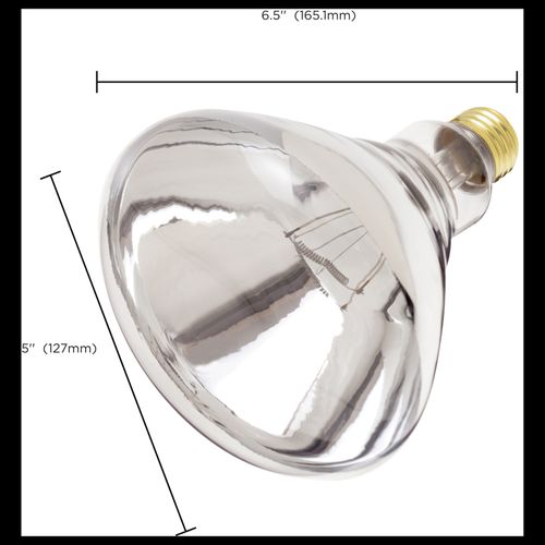 Main product image of 250 Watt R40 Incandescent Bulb - Clear Heat - 6000 Average rated hours - Medium base - 120 Volt (10 Pack)