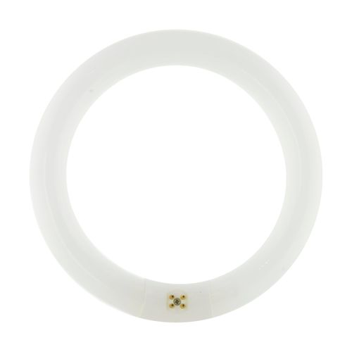 S8168 - Satco S8168 - 22 Watt - T5 - Circline Fluorescent Bulb 4100K Warm White 82 Cri 4 Pin Base G10q