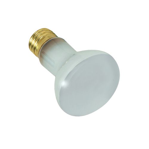 Main product image of 100 Watt R20 Incandescent Bulb - Frost - 2000 Average rated hours - 1000 Lumens - Medium base - 12 Volt (5 Pack)