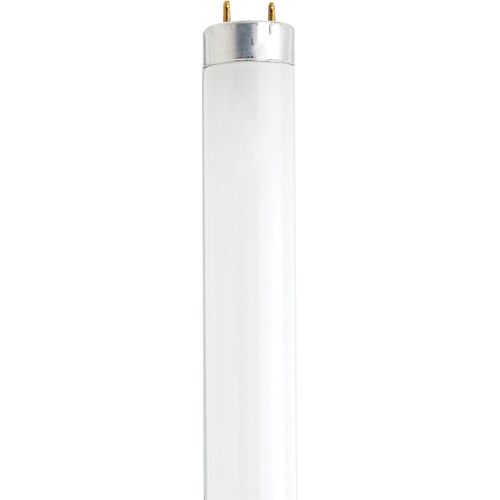 Main product image of 13 Watt - 12 Inch Fluorescent T8 Bulb - 4100K - Cool White - Medium Bi Pin base (4 Pack)