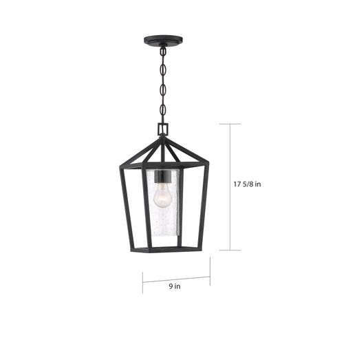 Main product image of Hopewell 1 Light Hanging Lantern Matte Black Finish w/ Clear Seeded Glass