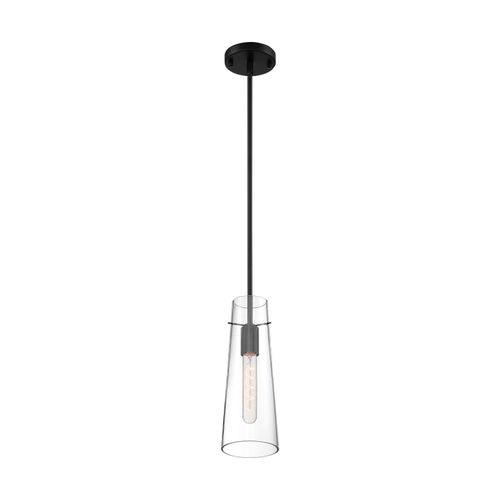 Main product image of Alondra 1 Light Mini Pendant Fixture Black Finish w/ Clear Glass