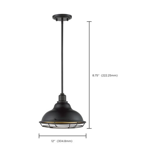 Main product image of Newbridge 1 Light Large Pendant Fixture Dark Bronze Finish w/ Gold Accents