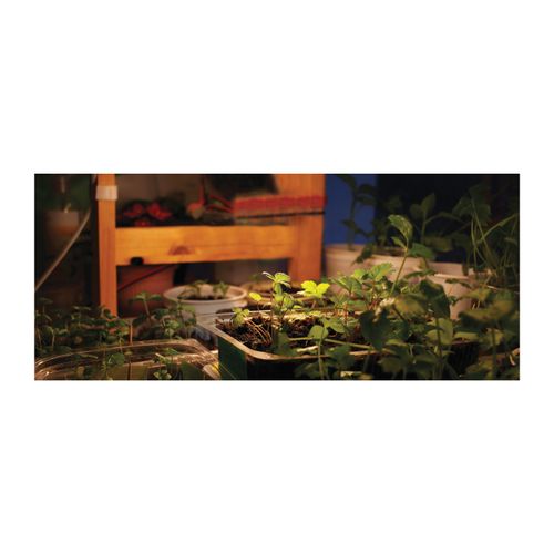 Main product image of 16 Watt - PAR38 LED - Full Spectrum Plant Grow Lamp - Medium Base - 120 Volt (2 Pack)