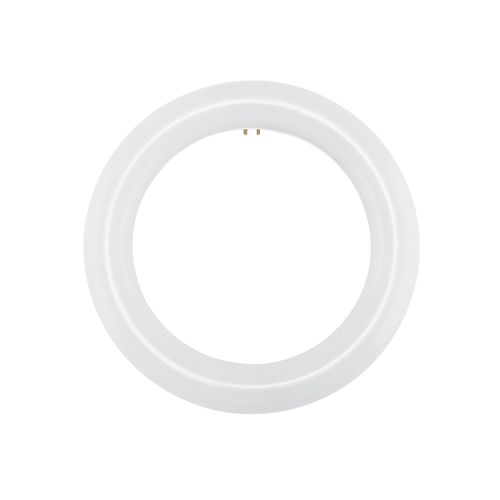 Main product image of LED Circline - 11 Watt T9 Bulb - 6500K - G10Q Base - 120-277 Volt - Type B - Ballast Bypass (2 Pack)