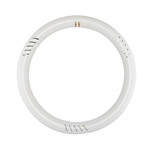 Main product image of LED Circline - 16 Watt T9 Bulb - 3000K - G10Q Base - 120-277 Volt - Type B - Ballast Bypass (2 Pack)