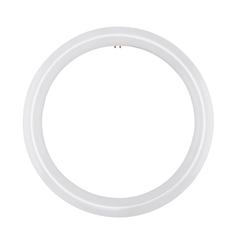 Main product image of LED Circline - 16 Watt T9 Bulb - 6500K - G10Q Base - 120-277 Volt - Type B - Ballast Bypass (2 Pack)