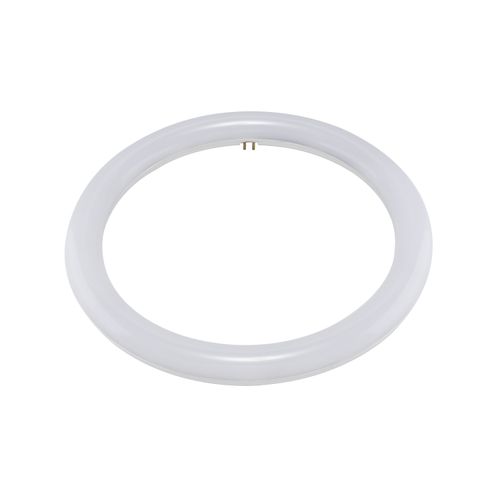 Main product image of LED Circline - 16 Watt T9 Bulb - 6500K - G10Q Base - 120-277 Volt - Type B - Ballast Bypass (2 Pack)
