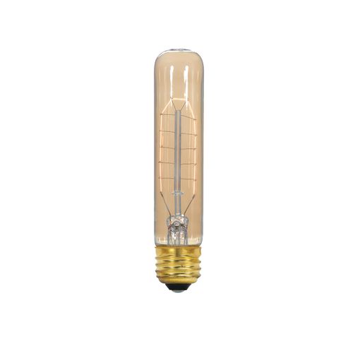 Main product image of 40 Watt T9 Incandescent Bulb - Clear - 3000 Average rated hours - 160 Lumens - Medium base - 120 Volt (4 Pack)