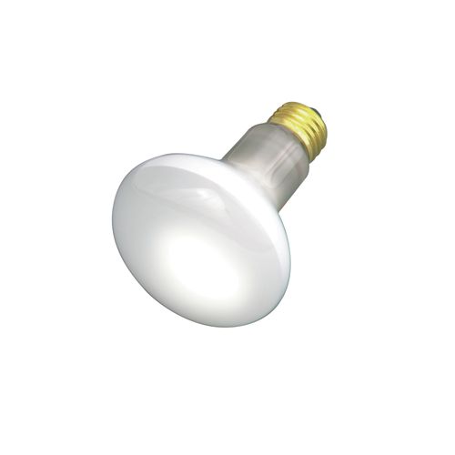 Main product image of 30 Watt R20 Incandescent Bulb - Frost - 2000 Average rated hours - 185 Lumens - Medium base - 130 Volt (20 Pack)