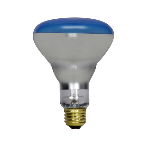 Main product image of 150 Watt R30 Incandescent Bulb - Grow - 2000 Average rated hours - Medium base - 120 Volt (8 Pack)