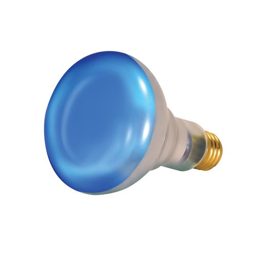 Main product image of 150 Watt R30 Incandescent Bulb - Grow - 2000 Average rated hours - Medium base - 120 Volt (8 Pack)