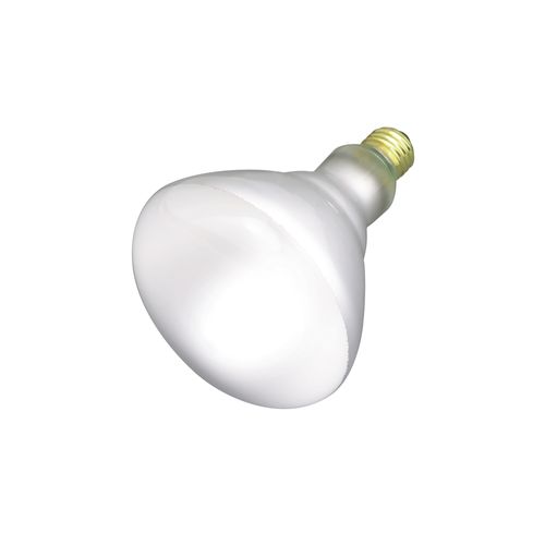 Main product image of 65 Watt BR40 Incandescent Bulb - Frost - 2500 Average rated hours - 580 Lumens - Medium base - 120 Volt