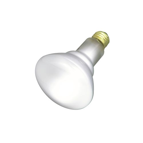 Main product image of 65 Watt BR30 Incandescent Bulb - Frost - 2000 Average rated hours - 620 Lumens - Medium base - 130 Volt - 2/Pack