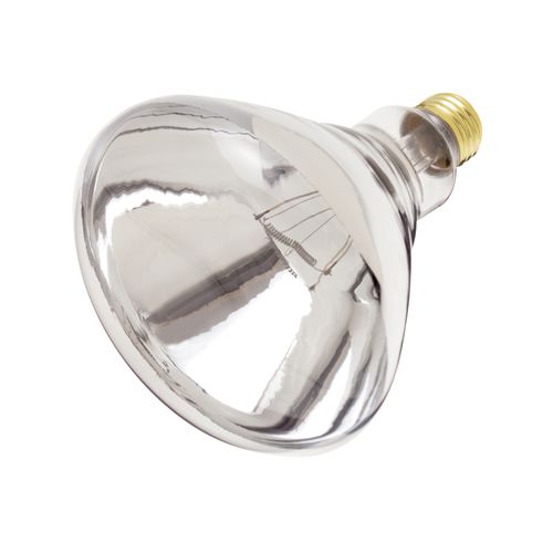 Main product image of 250 Watt R40 Incandescent Bulb - Clear Heat - 6000 Average rated hours - Medium base - 120 Volt (10 Pack)