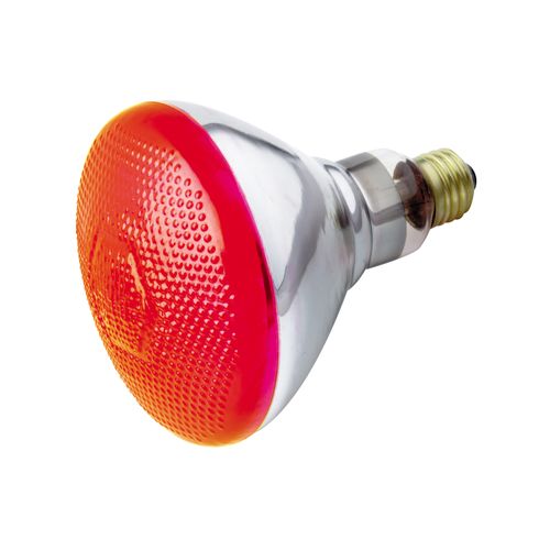 Main product image of 100 Watt BR38 Incandescent Bulb - Red - 2000 Average rated hours - Medium base - 230 Volt (5 Pack)